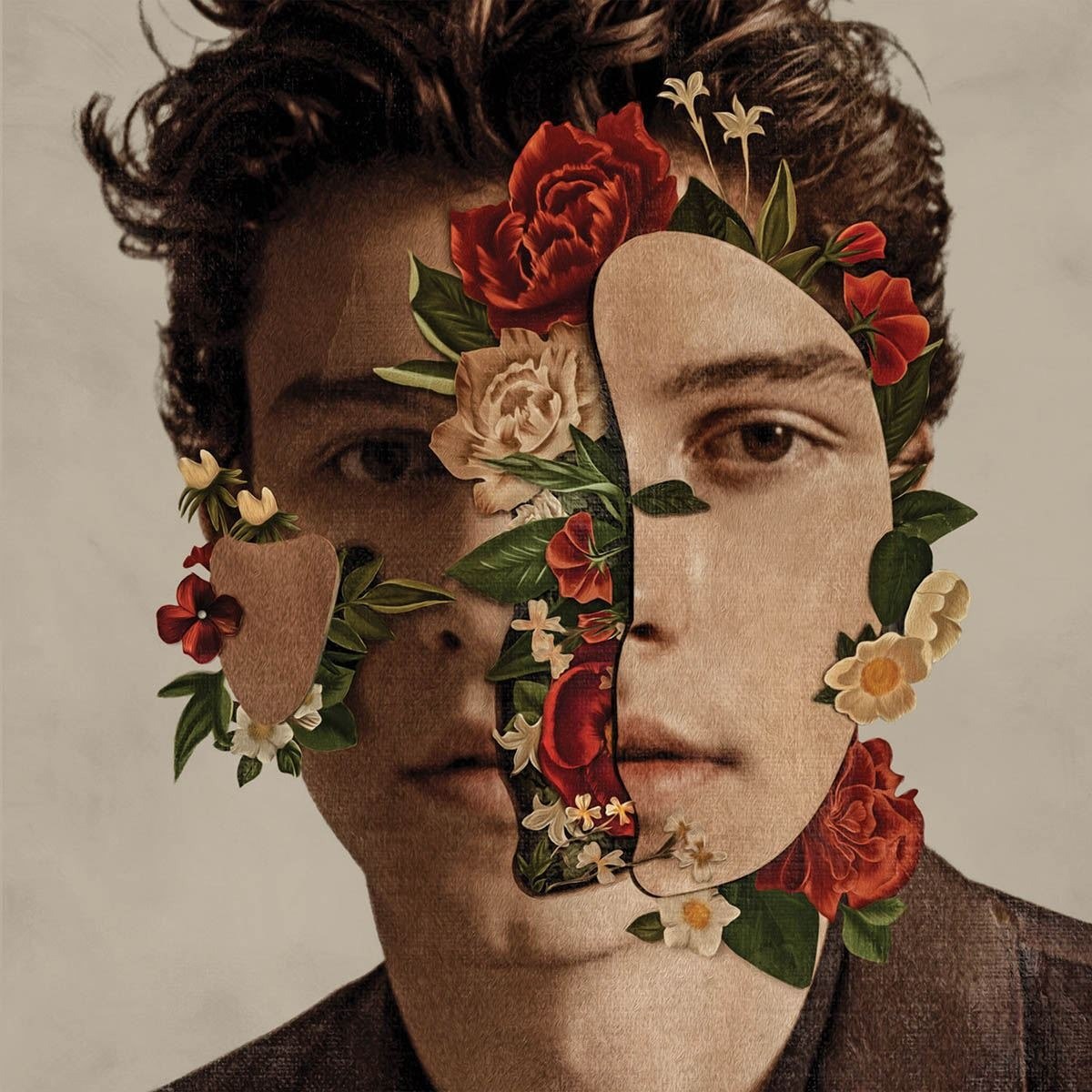 Cd Shawn Mendes. Shawn Mendes, 2018, Umm, Nuevo Álbum ...