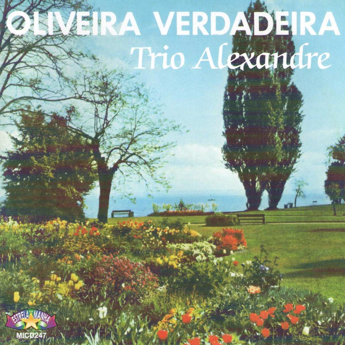 trio alexandre oliveira verdadeira playback