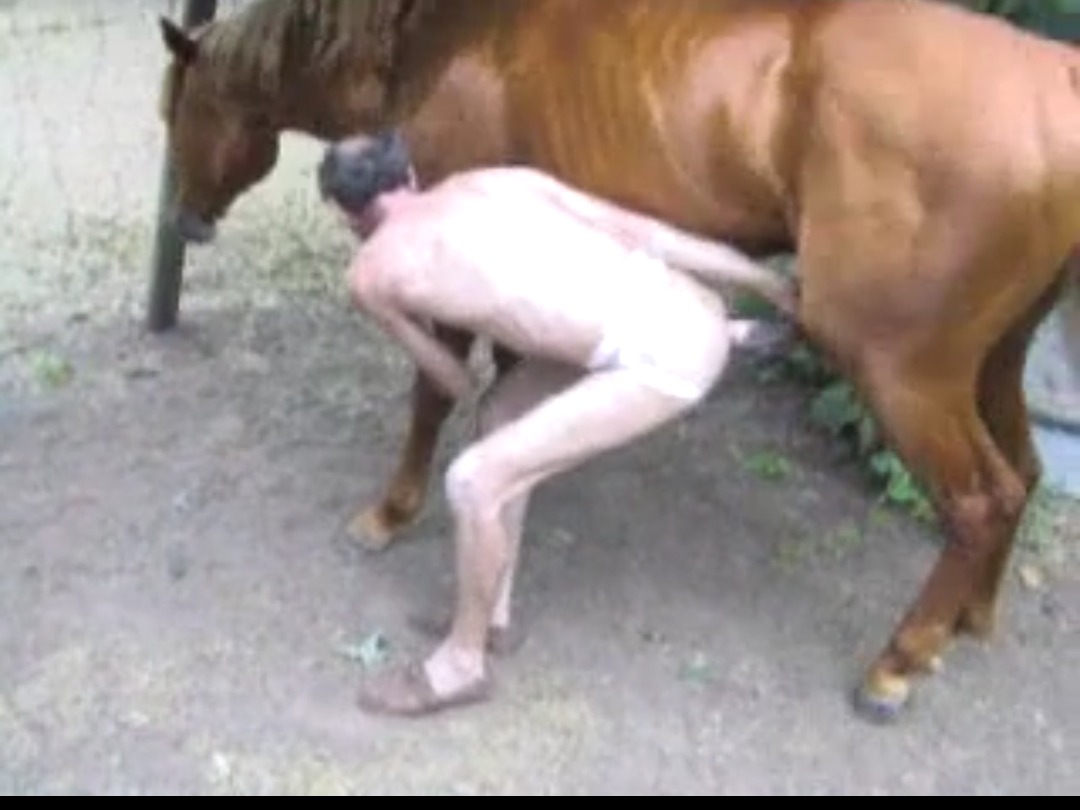 Videos de sexo com animais Videos de sexo com animais