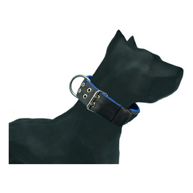 Collar Game Dog Perro (razas Medianas Y Grandes)