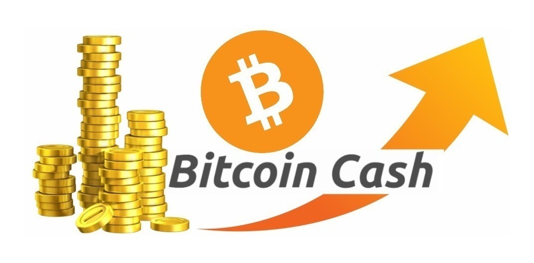 Comprar 0 01 Bitcoin Cash Envio Imediato Bch - 