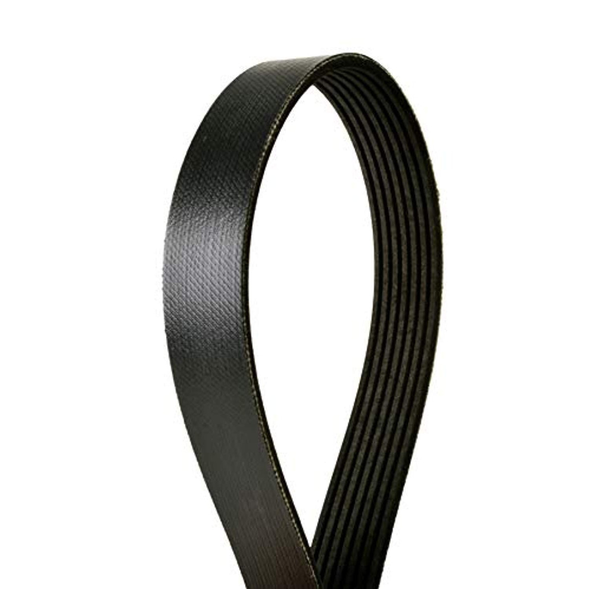 Continental Elite Poly V Serpentine Belt