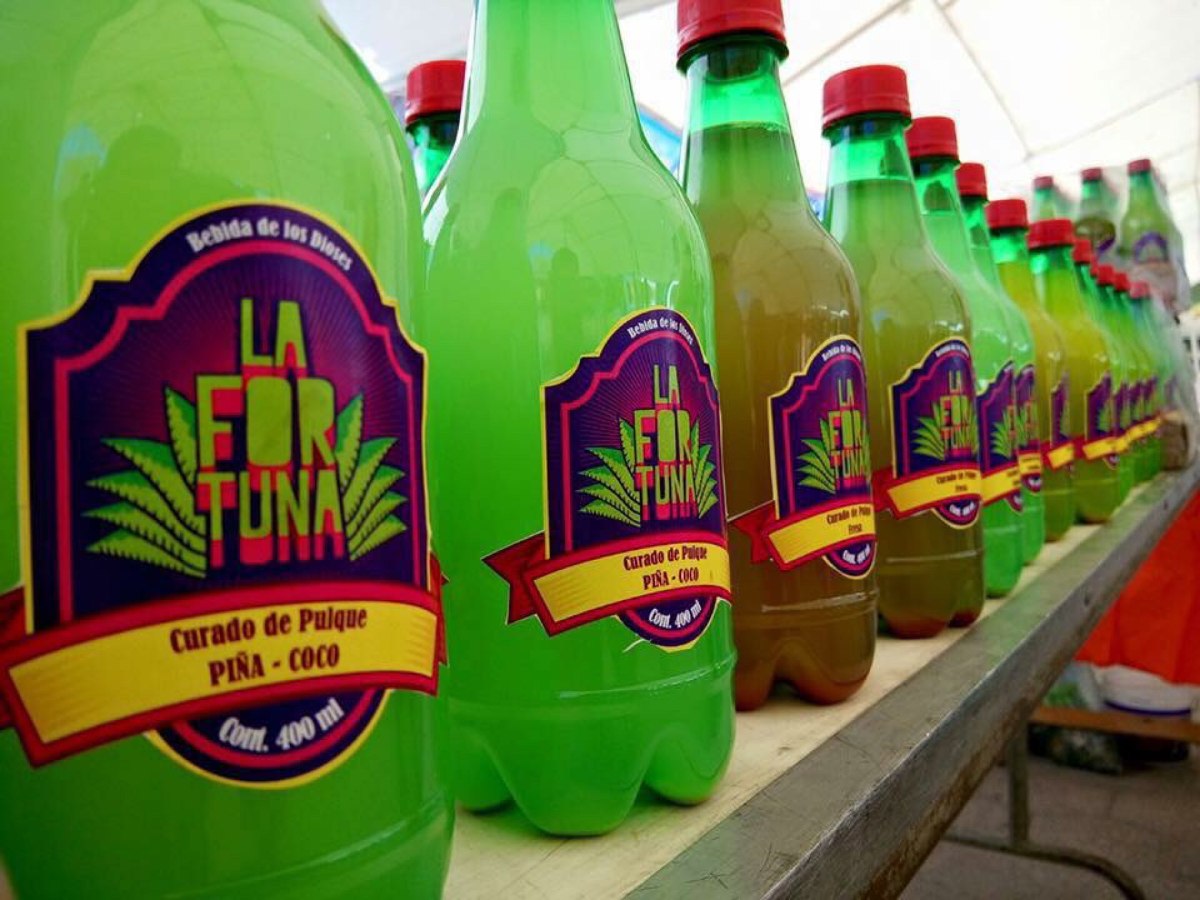 Curado De Pulque Envasado Con Calidad De Exportación Curado De Pulque Envasado Con Calidad De Exportación