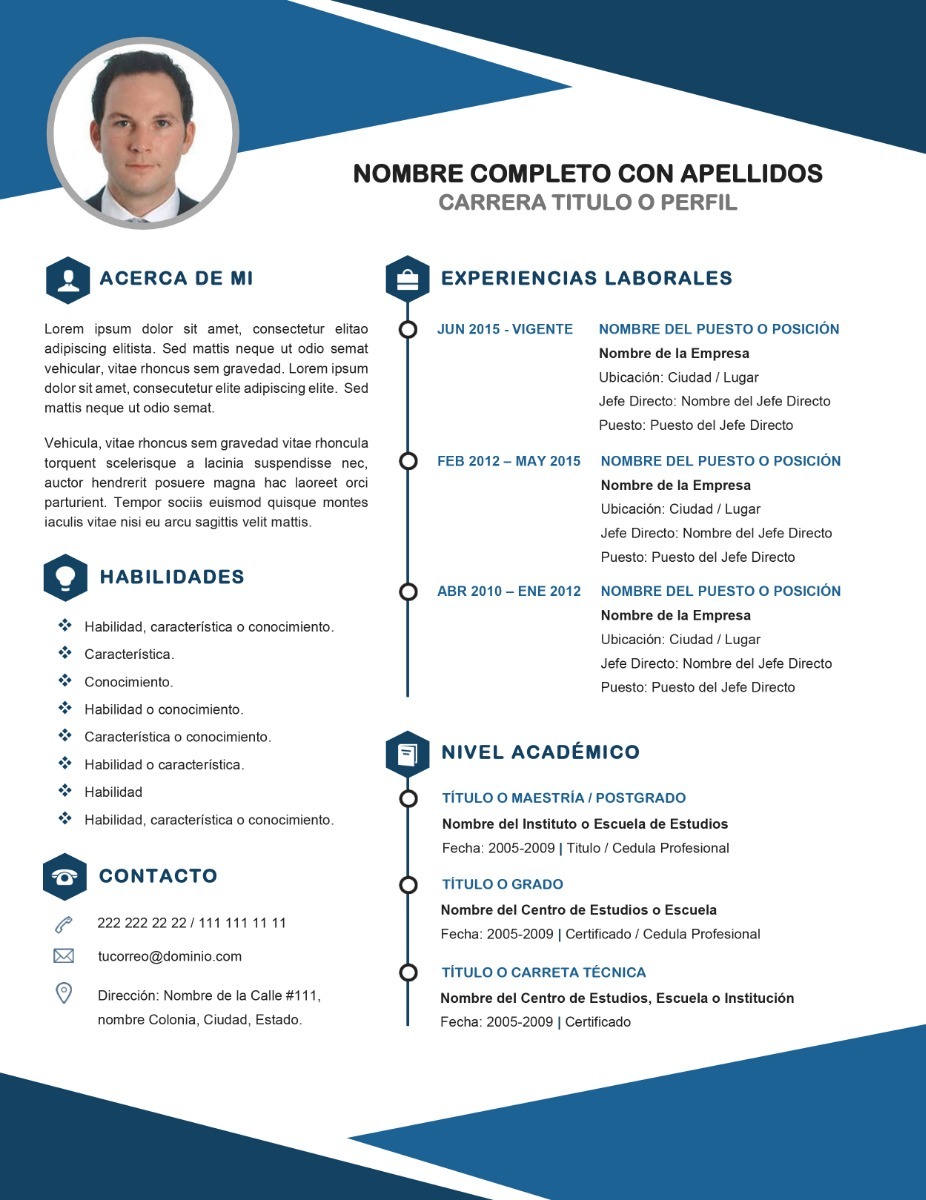 Curriculum Vitae Profesional Plantilla Editable En Word #2 ...