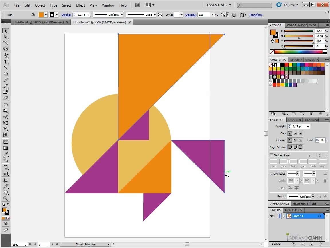 How to Do Everything with Illustrator CS