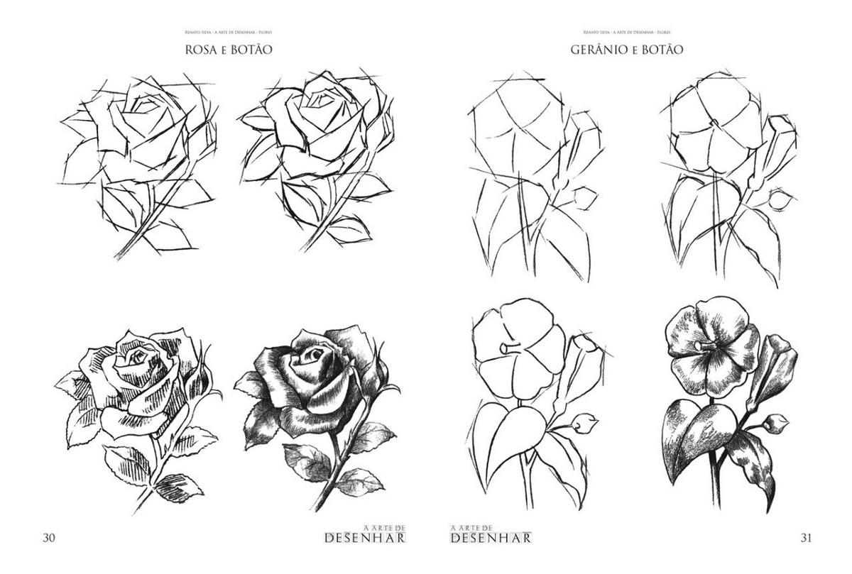 curso de desenho a arte de desenhar flores renato silva flores desenhar