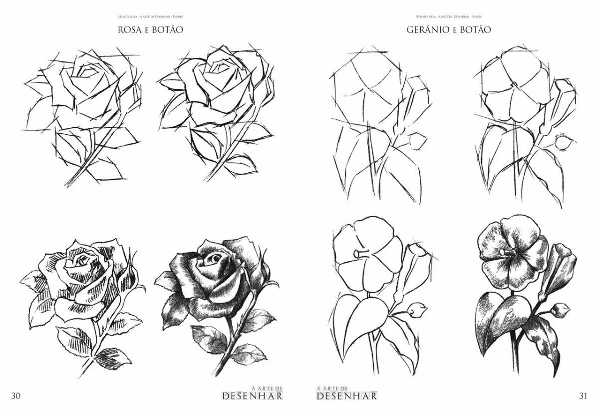 curso de desenho flores renato silva flores desenhar