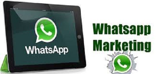 Resultado de imagem para whatsapp marketing