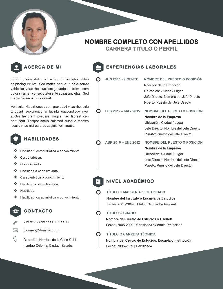 Cv Curriculum Vitae Profesional Plantilla Editable En Word ...