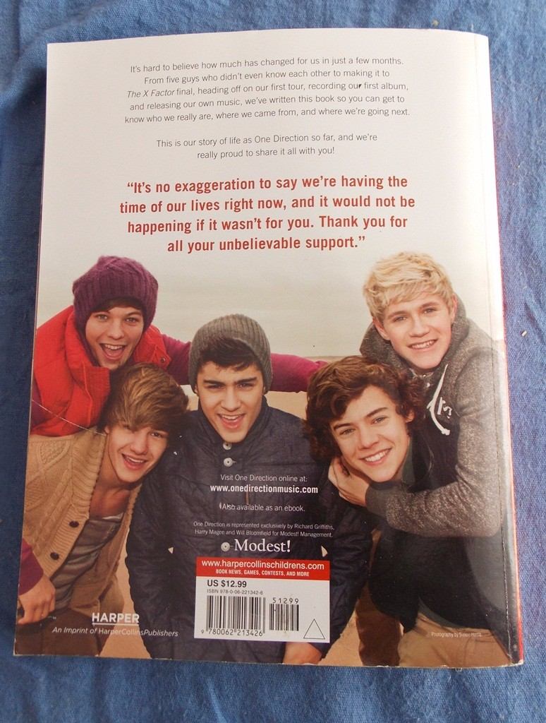 Dare To Dream One Direction Ebook