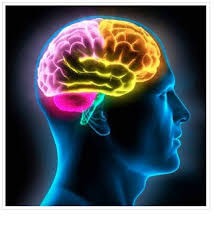 DESARROLLA TU CEREBRO EPUB DESARROLLA TU CEREBRO EPUB