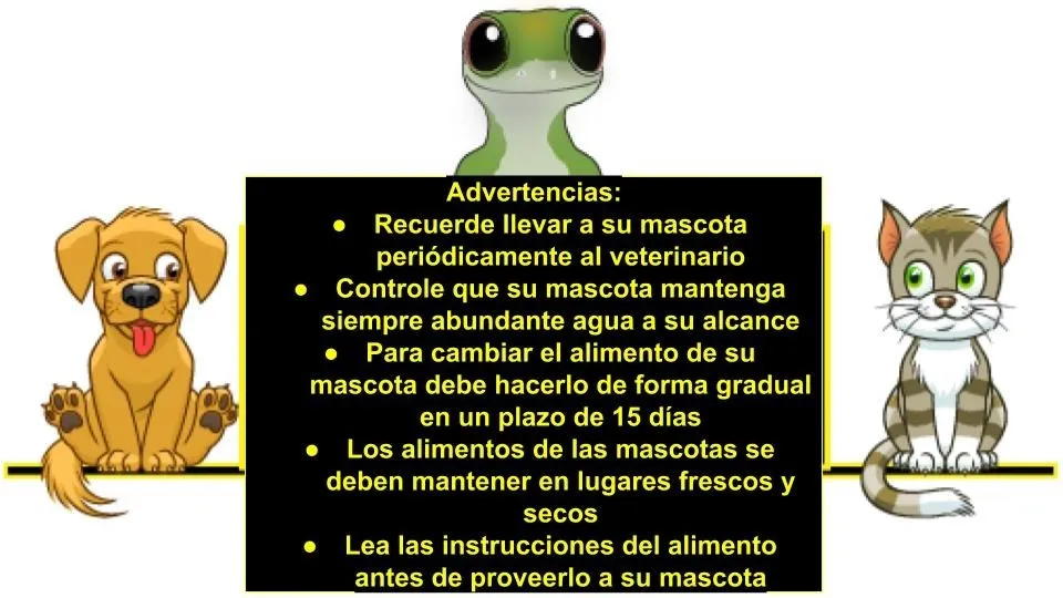 Medio, Verde Cuidados orales 4-12M 1PC Alimentador de comida para beb/és//Alimentador de frutas Chupete estimulante Mordedor de juguete Molar de apetito para beb/és