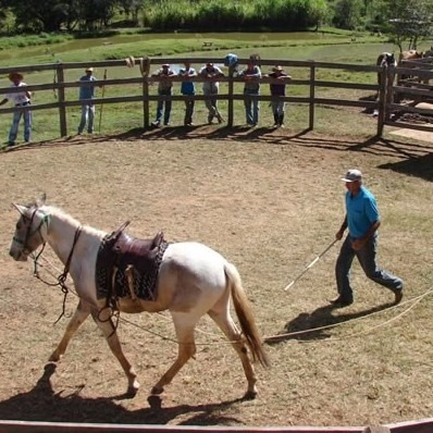 DOMA RACIONAL DE CAVALOS PDF DOWNLOAD DOMA RACIONAL DE CAVALOS PDF DOWNLOAD