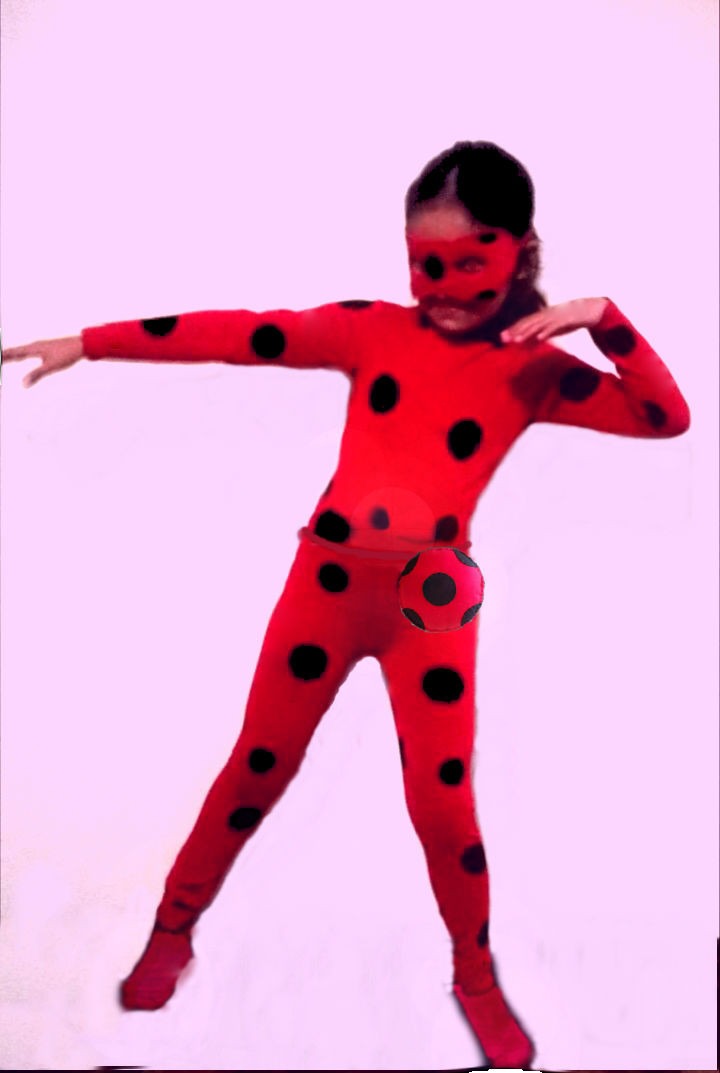 roupa da ladybug e do cat noir