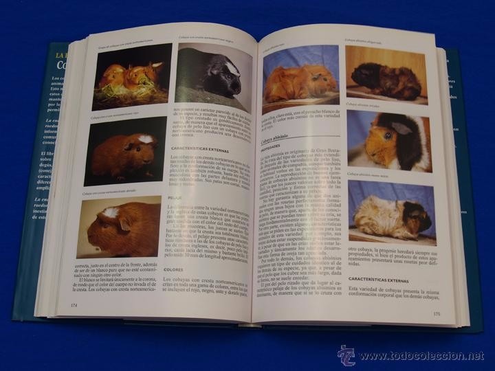 la enciclopedia de los conejos y roedores