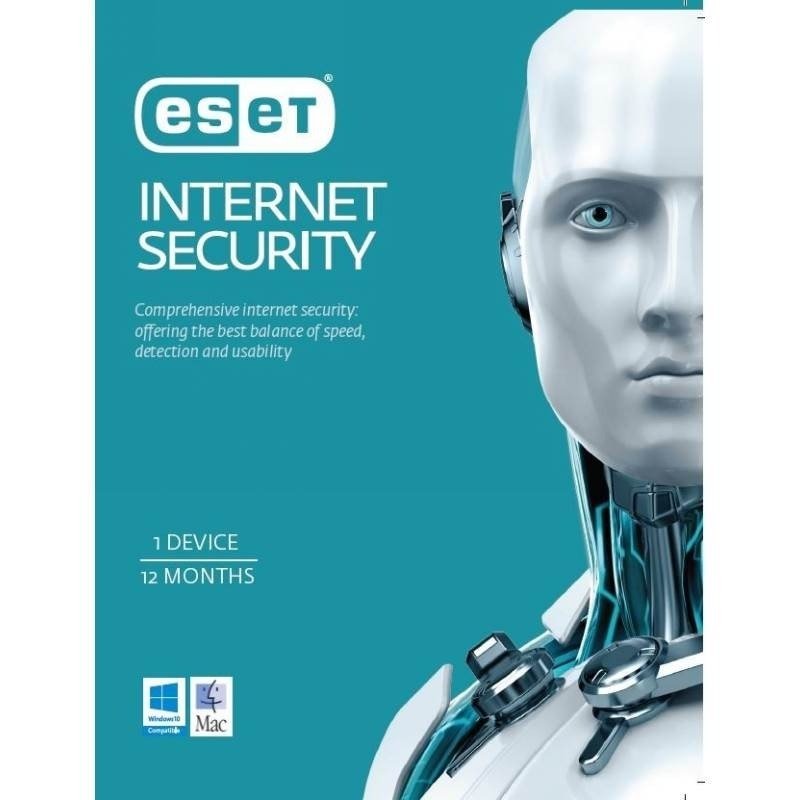 ESET Internet Security 13 