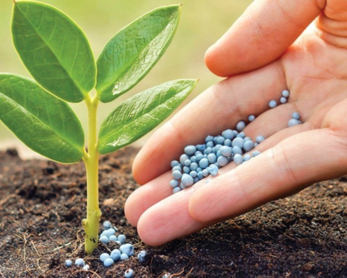 Resultado de imagen para FERTILIZACION DE FRUTALES