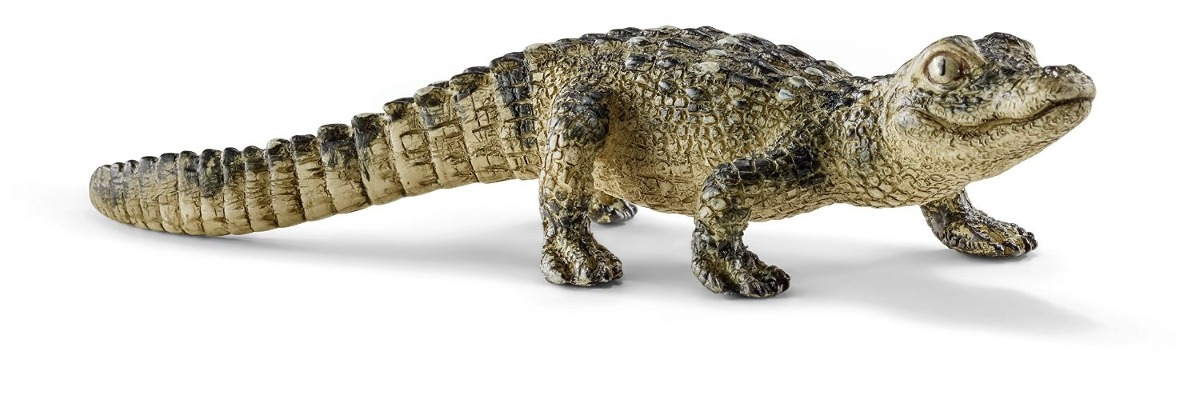 Resultado de imagen para lagarto bebe