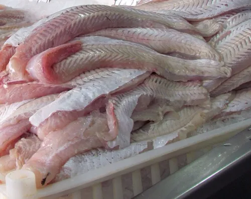 ¡Aprovecha gaviota!: Esta semana aumenta el pescado item-thumbnail