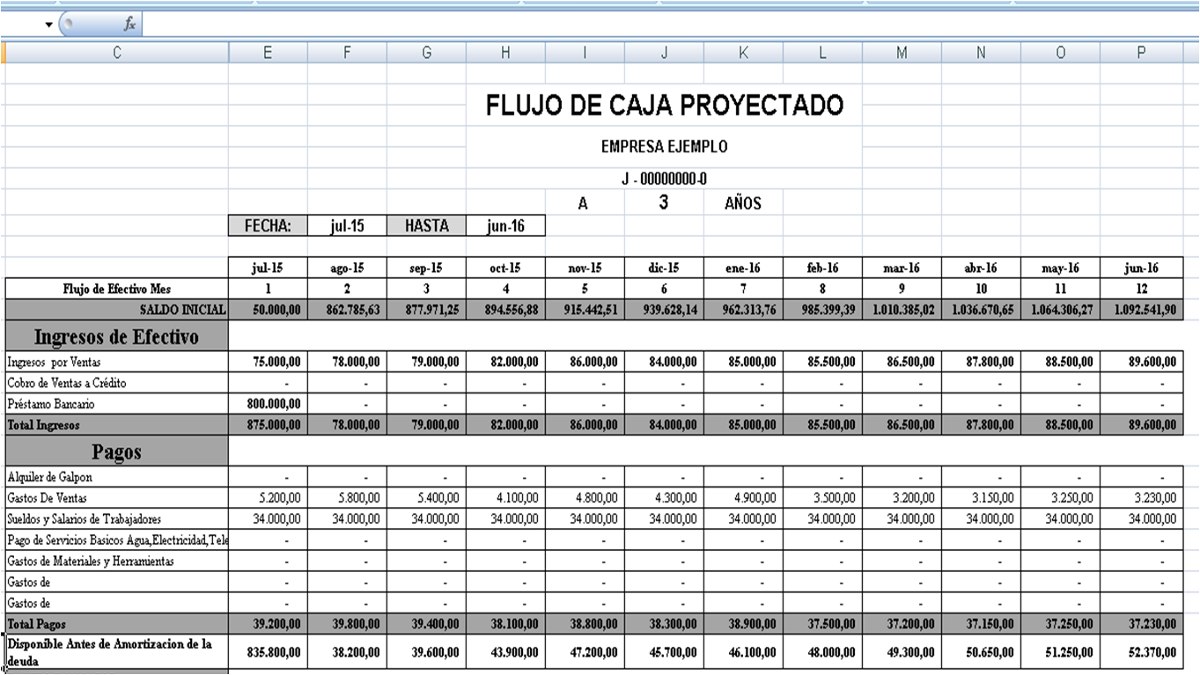 Flujo Caja Proyectado Excel Con Manual + Informe + Premisas Bs. 3.700.000,00 en Mercado Libre