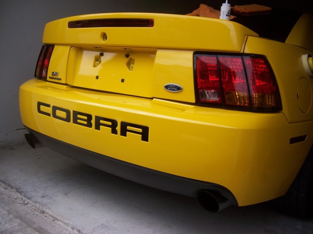 Ford Mustang Cobra 03-04 Defensa Trasera 99 00 01 02 03 04 Ford Mustang Cobra 03-04 Defensa Trasera 99 00 01 02 03 04