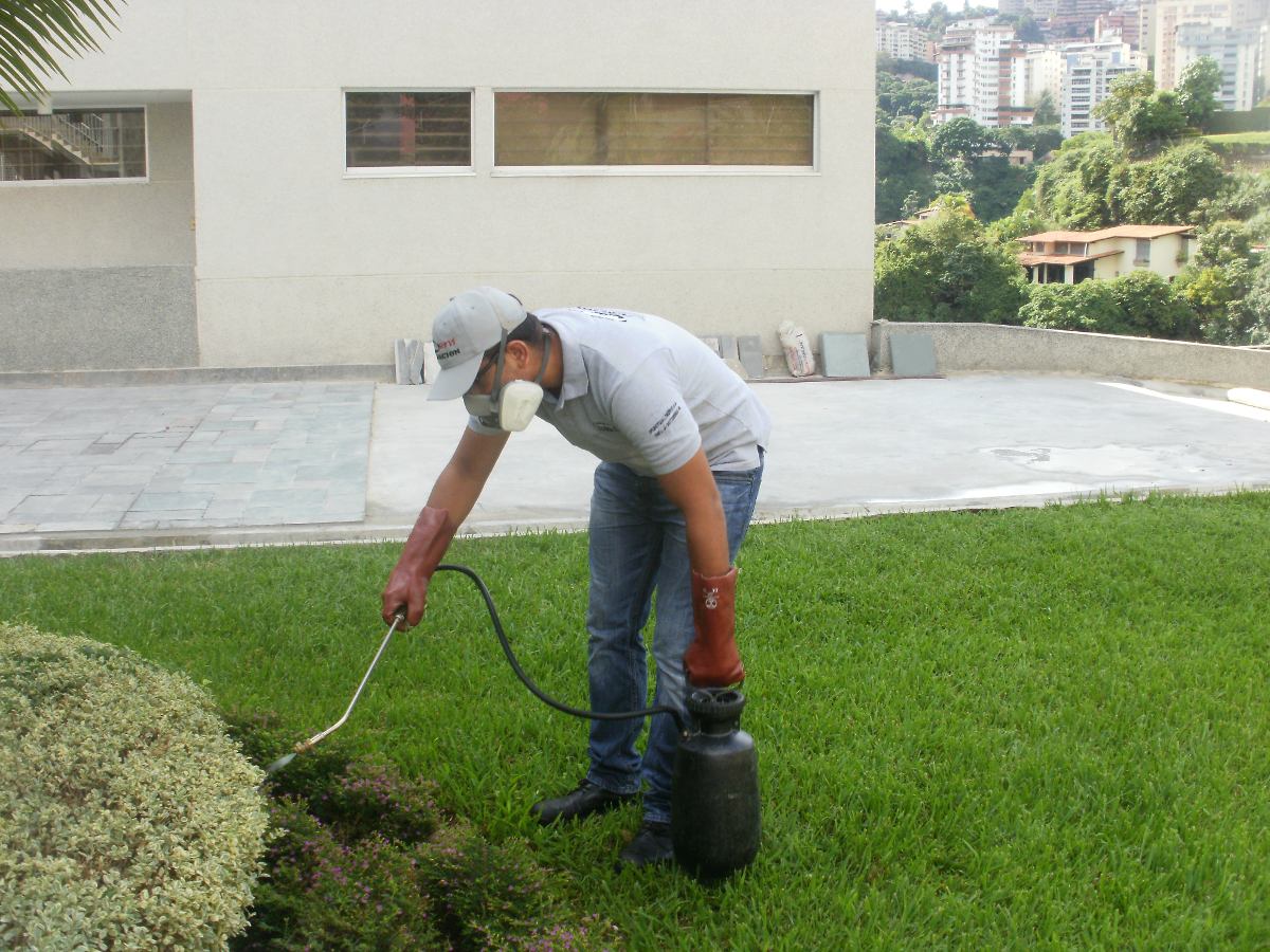 Essays fumigacion contra
