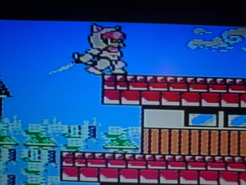 free download gatos nintendo free download gatos nintendo