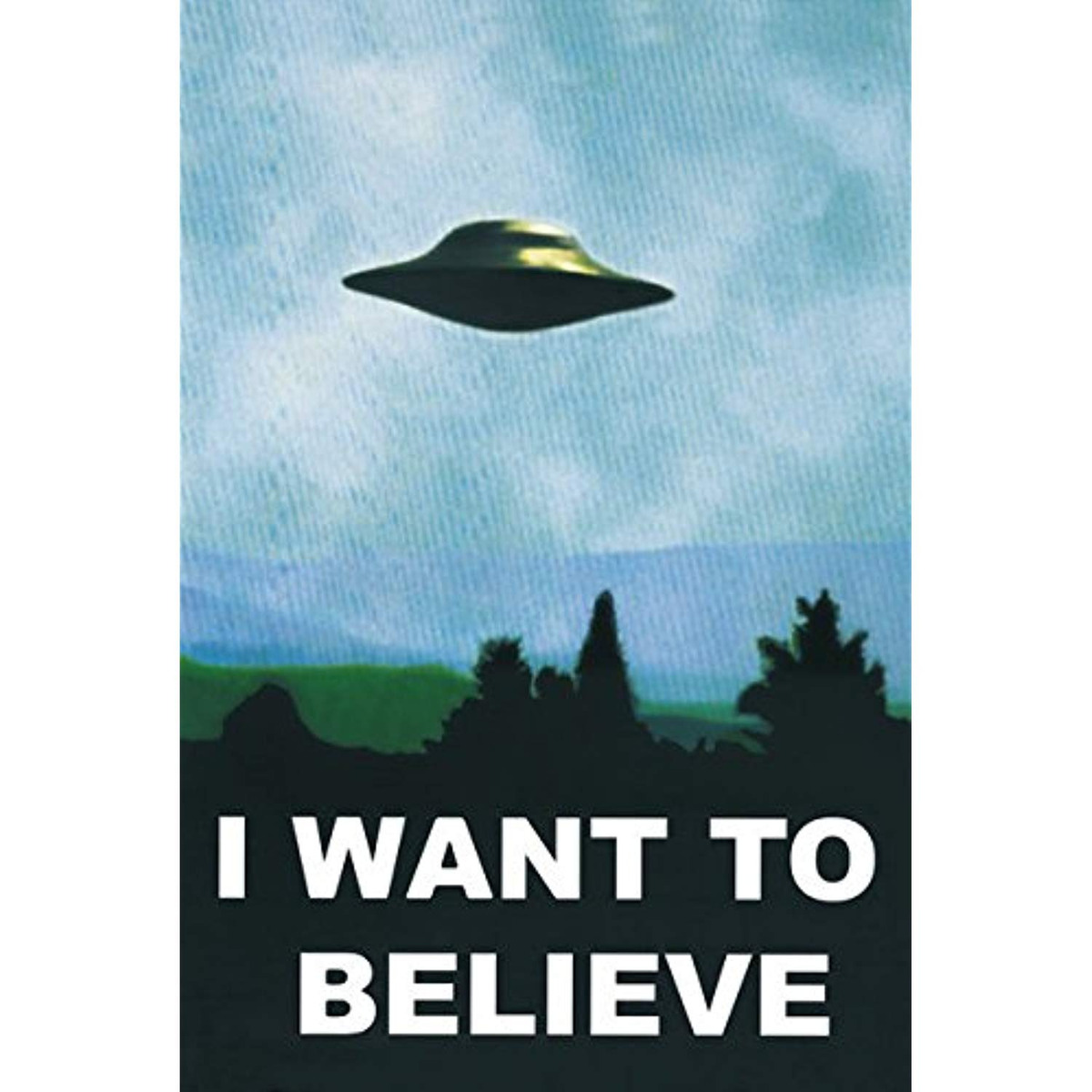 generic-cartel-de-x-files-i-want-to-believe-D_NQ_NP_697522-MLM30638047287_052019-F.jpg