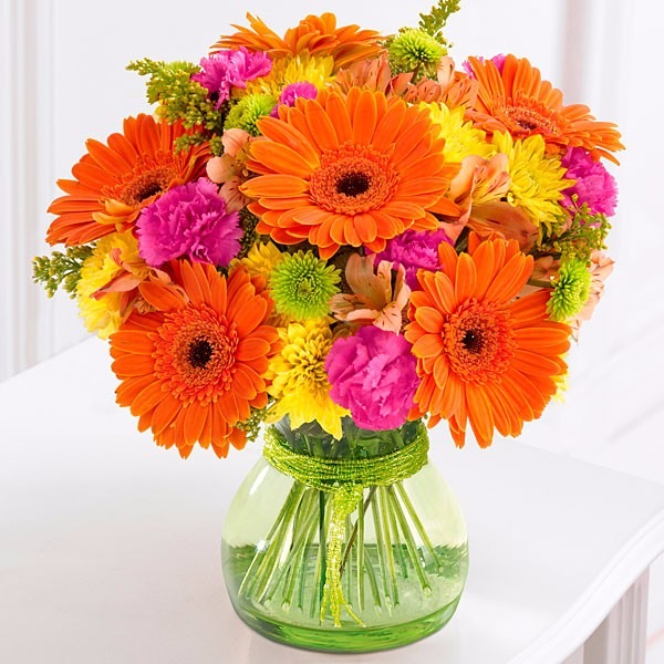 gerbera mix flor gerberas flores sementes para mudas r 16 99 em