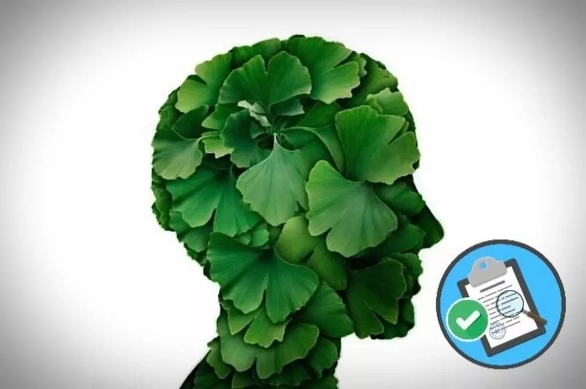 Ginkgo Biloba Con Magnesio X 120 Compr Biofit Bv 622 00