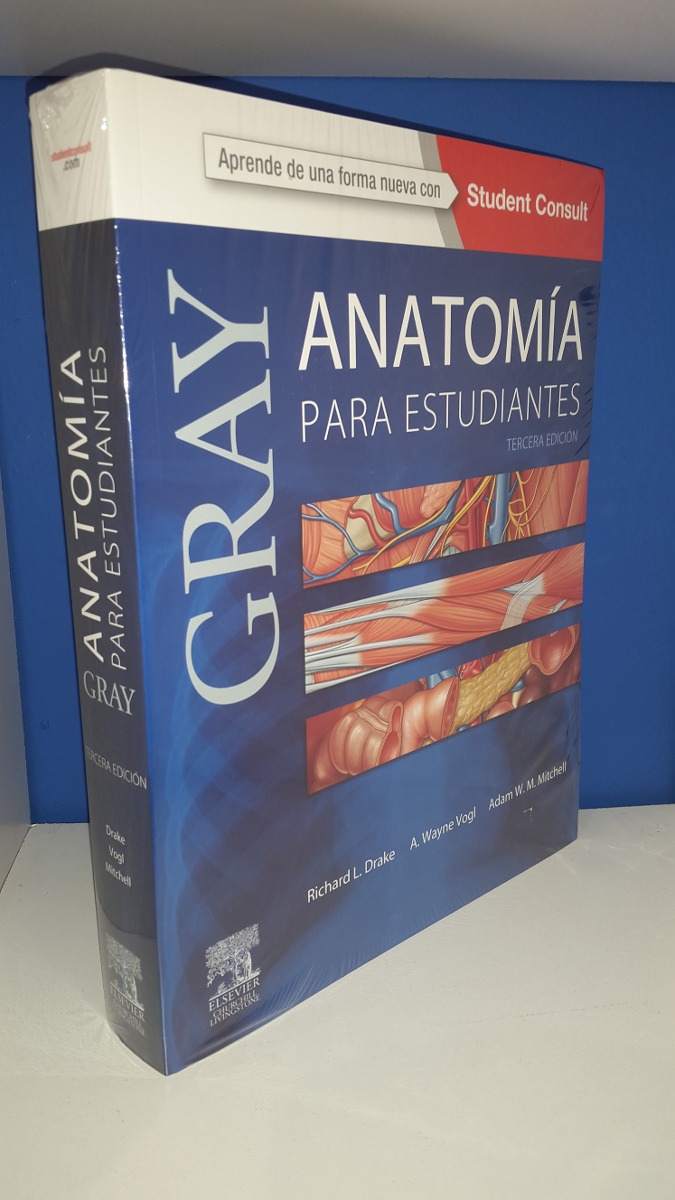 Anatomia