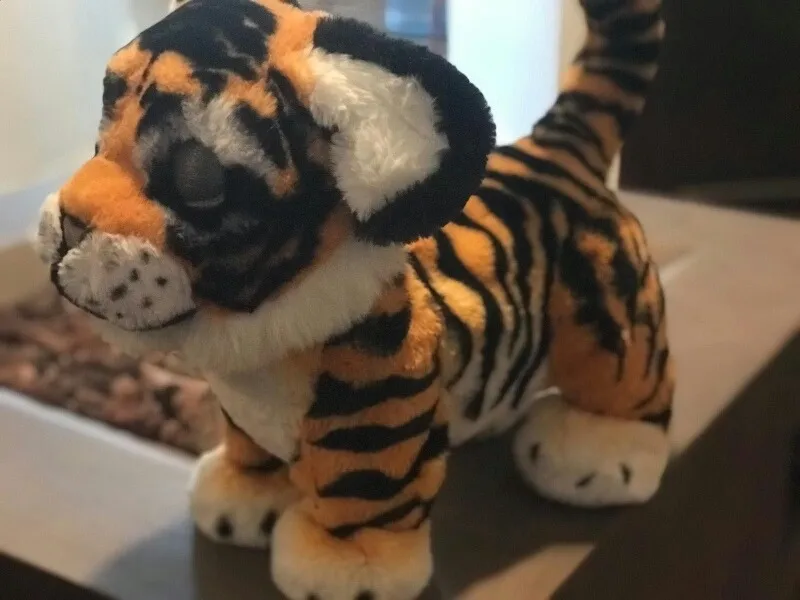 rayler tigre jugueton