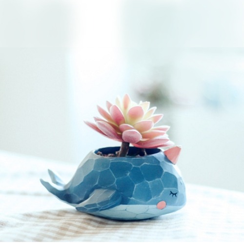 herramienta maceta flor hermosa casa jardin oficina planter