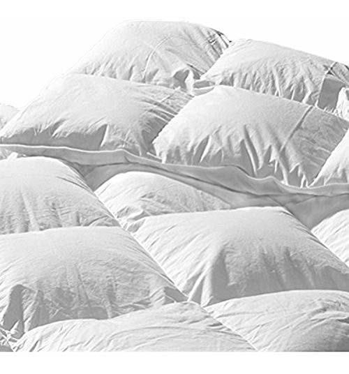 White B3 131 Q40 Queen Highland Feather Deluxe Fill Torreon Down Comforter Home Kitchen Duvets Down Comforters