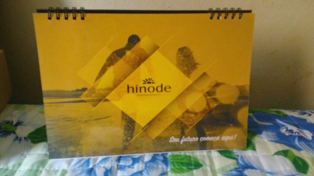 Hinode Flip Chart