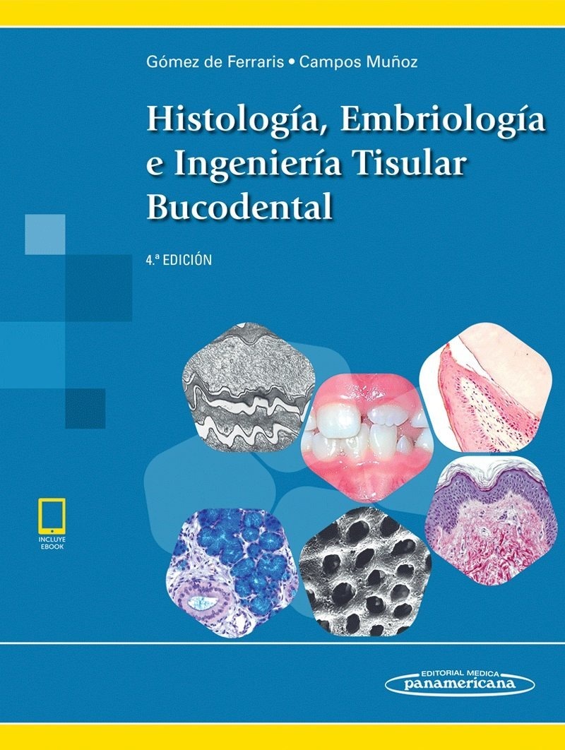 Histologia Embriologia E Ingenieria Tisular Bucodental 4a