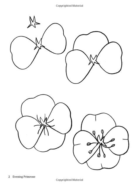 how to draw flowers passo a passo como desenhar flores r 30 00 flores desenhar