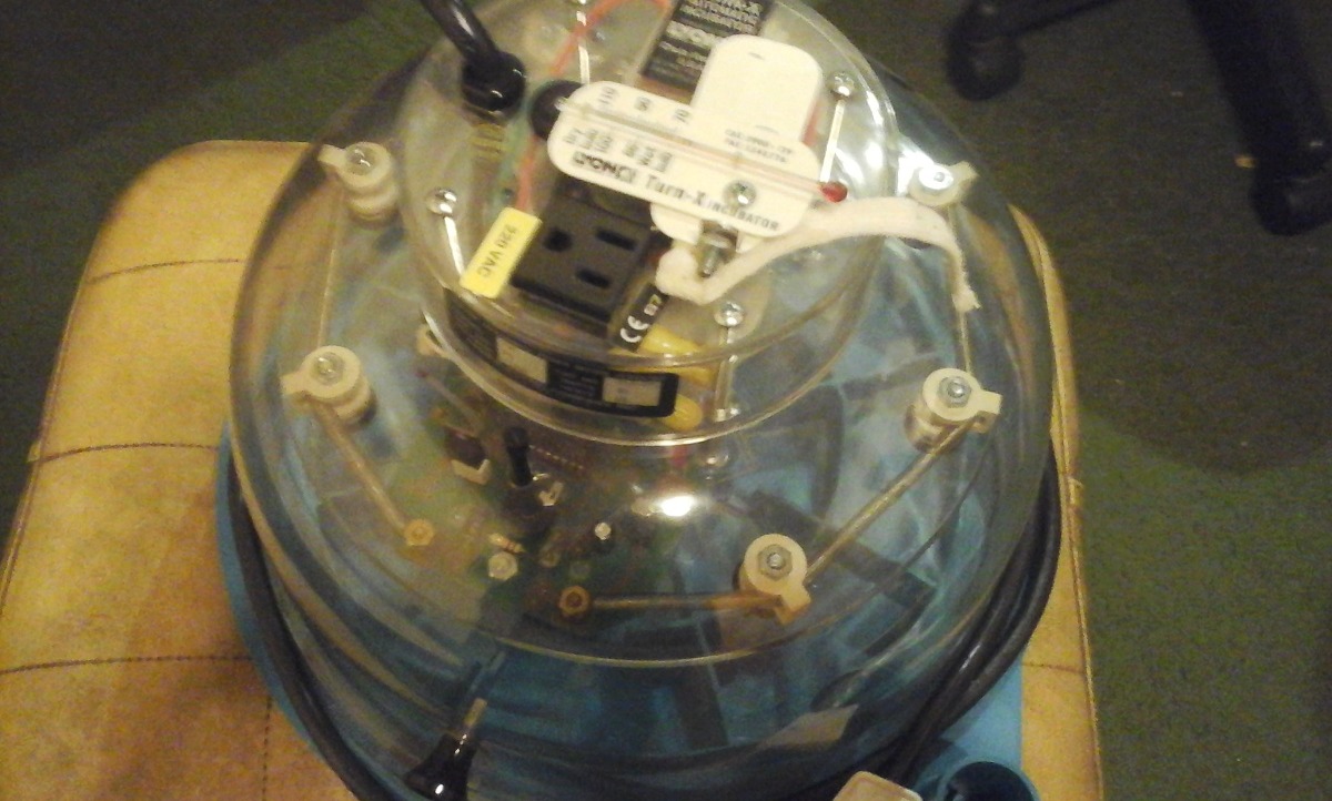 Incubadora Turn Automatic Incubator Lyon 4 330 00 En Mercado Libre Turn Automatic Incubator Lyon