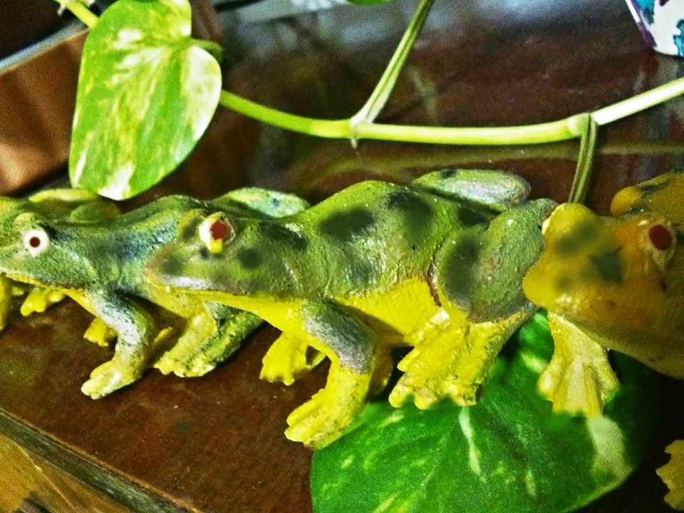 Ranas de resina , para macetas, jardin , decoracion . oferta ... Macetas Jardín decoración