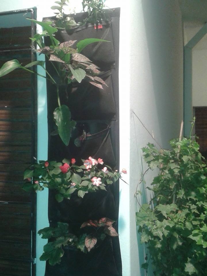 Jardin vertical decoracion balcon módulos pocket's diseños 210 ...