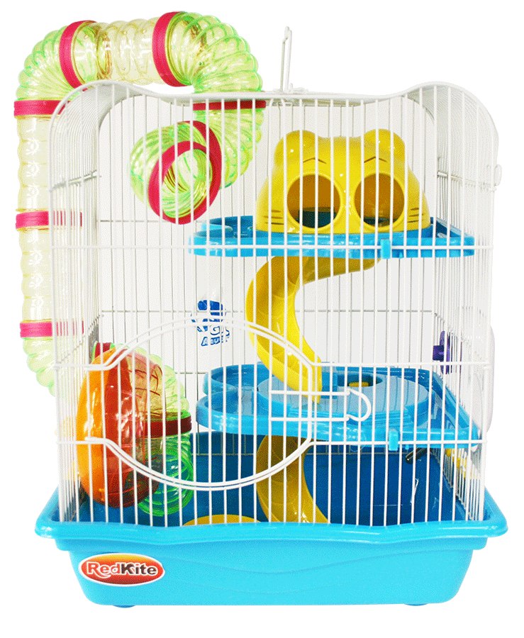 hamster gratis p