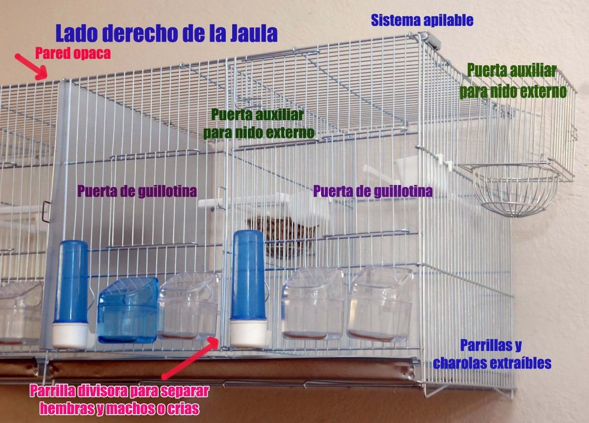 Resultado de imagen para jaula para anidar canarios