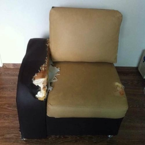 Juego de muebles 2 piezas para tapizar con cojines bs. 180.000 ...