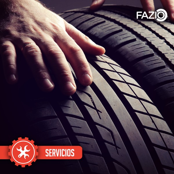 Fazio Bridgestone Kit Por 2cub Neumatico 165 70 R14 Firestone F Series Kangoo 10 012 00 Fazio Bridgestone Kit Por 2cub Neumatico 165 70 R14 Firestone F Series Kangoo 10 012 00