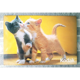 Kodak Fotografía Vintage Gatos Año 82 Aviso Publicitario 