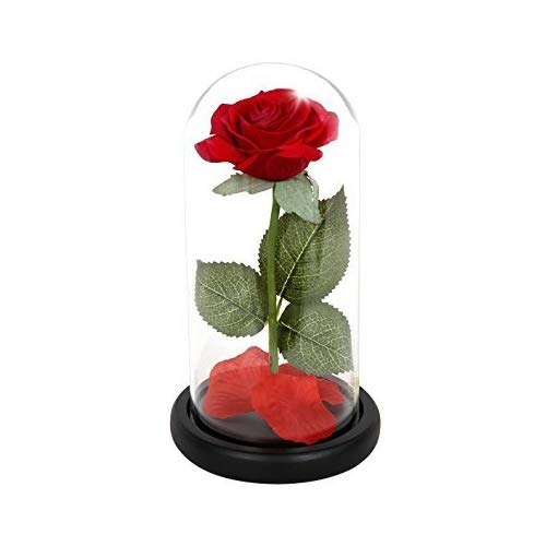 ''La bella y la bestia'' Rosa de seda roja en el domo de cristal valentine's day