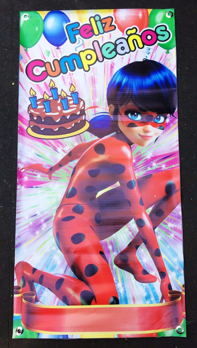 Lady Bug Lona Letrero Feliz Cumpleaños Fiesta Ladybug 