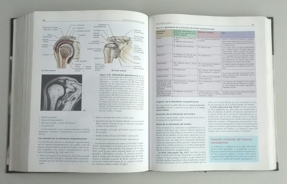 anatomia con orientacion clinica de moore 4ta edicion pdf