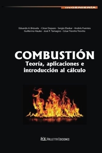 Resultado de imagen para combustion brizuela