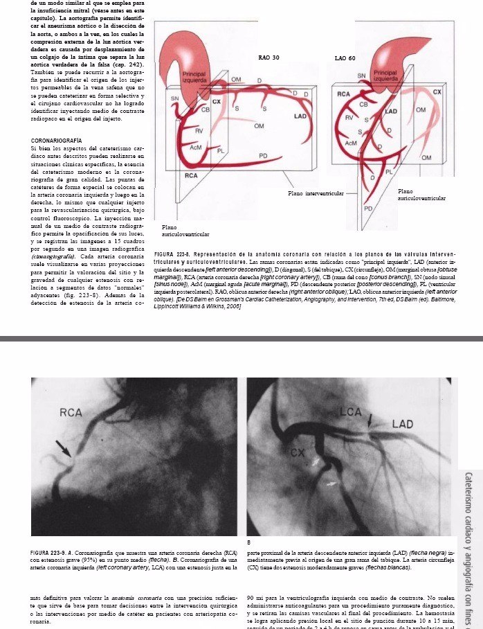 Harrison Medicina Interna 18 Pdf